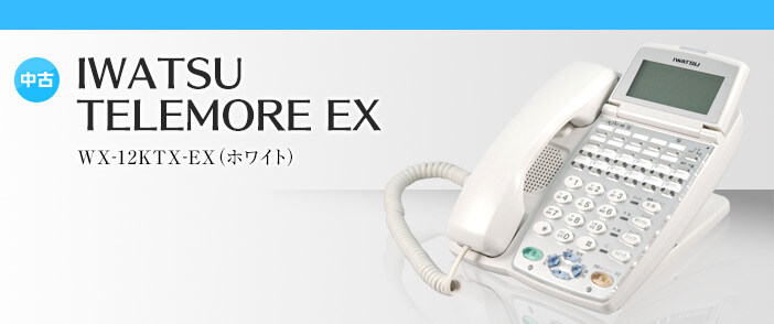 岩通 TELEMORE（テレモア） EX｜ビジフォンドットコム