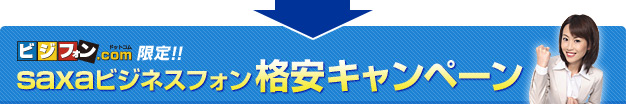 ビジフォン.com限定！！saxaビジネスフォン格安キャンペーン