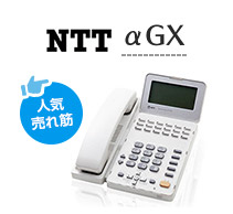 人気売れ筋 NTT αGX