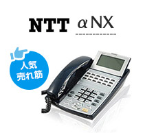 人気売れ筋 NTT αNX