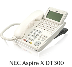 NEC Aspire X DT300