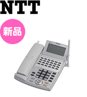 新品 NTT NX（24） CCLSTEL-（1）（W）